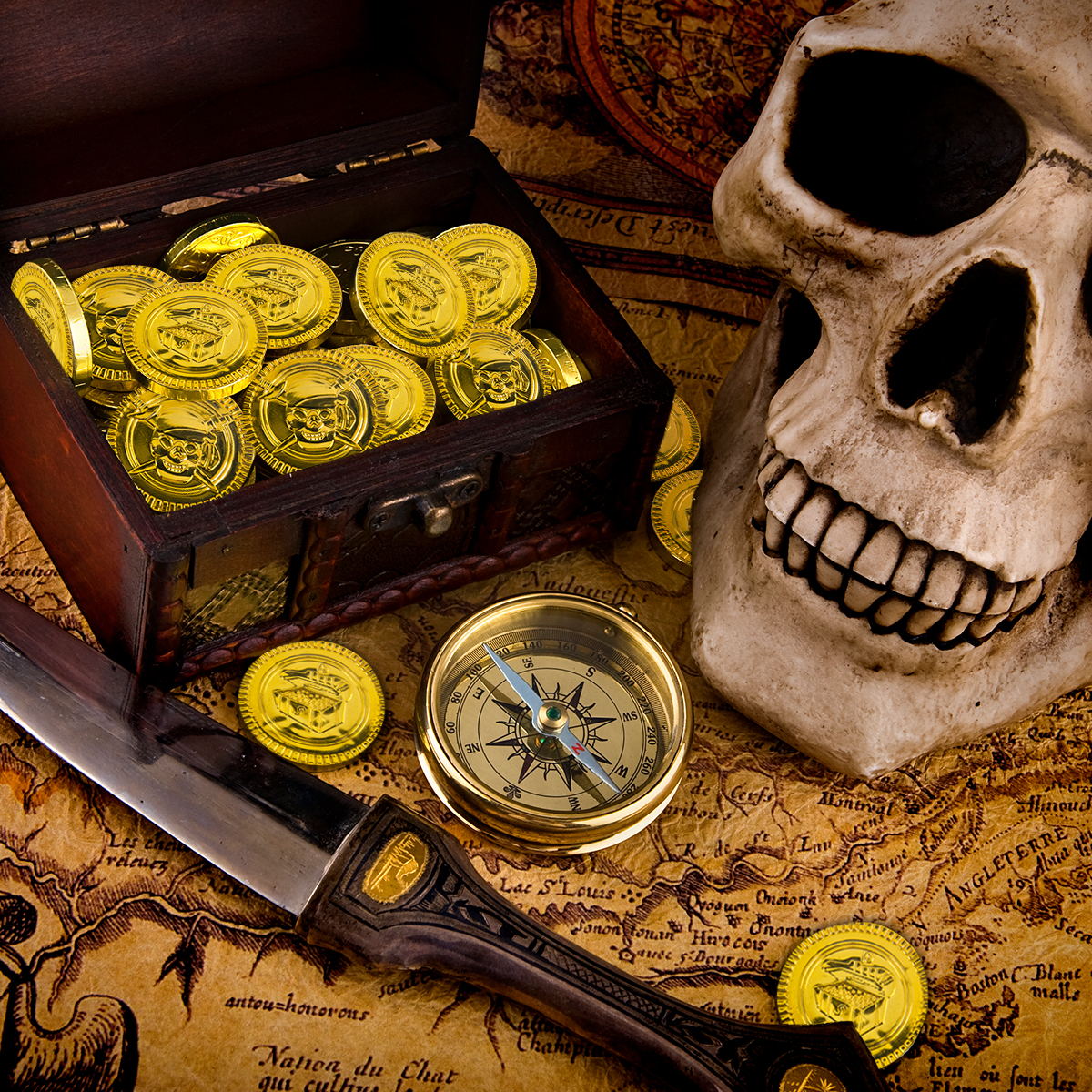 20/40pcs Pirate Coins Plastic  - Token Coin Mechanism reseña y precio